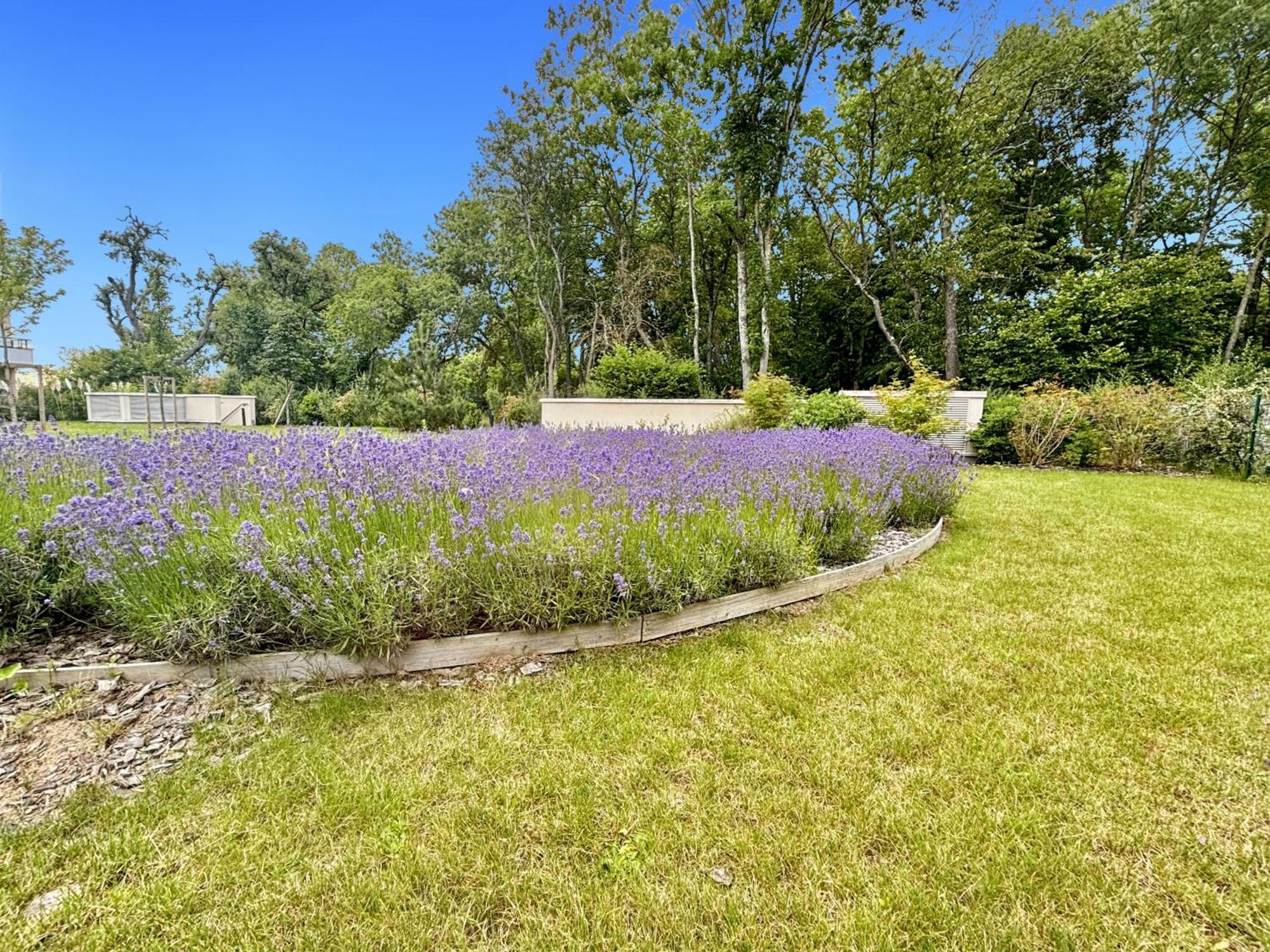 Sunny Suite Disneyland Paris - Rentaway Bnb Montévrain Exteriér fotografie